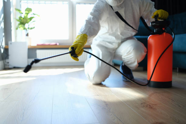 Reliable Blood Cleanup contractor in Allenspark, CO by Trauma Clean Pros